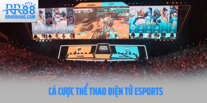 Ảnh đại diện Cá Cược Thể Thao Điện Tử Esports
